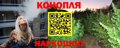 Альфа ПВП Волгодонск