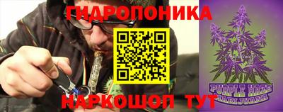 крисы Волжский