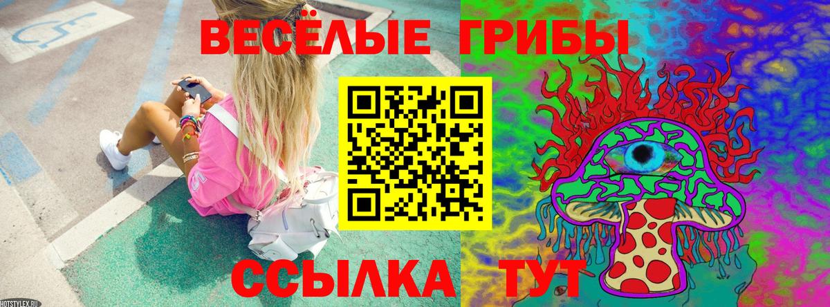 Брянск  Галлюциногенные грибы Cubensis  Вход с VPN 