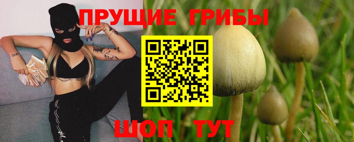 Галлюциногенные грибы мухоморы Брянск